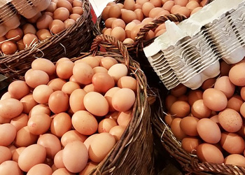 سعر البيض الاحمر اليوم في بورصة الحمامي