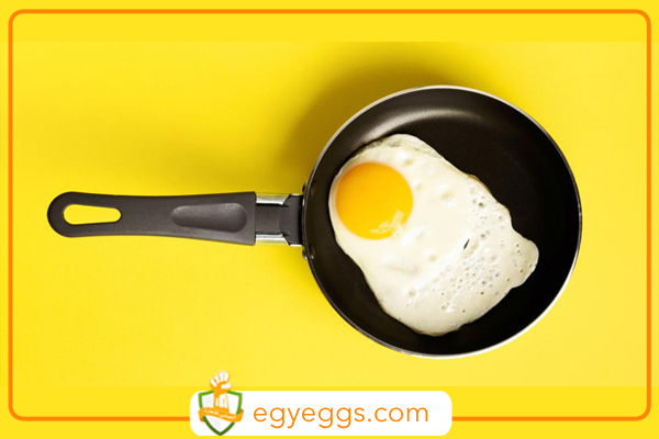 دراسة جديدة : تناول بيضة واحدة في اليوم يساعد على تقليل فرص الإصابة بالجلطات