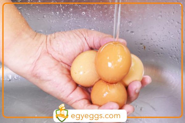 لماذا لا يجب غسل البيض النيئ ؟ وماهي الطريقة الصحيحة للتخلص البكتريا الضارة!